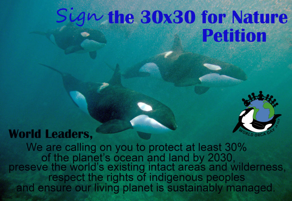 Take action for orca: Sign the 30x30 petition for Nature that will be presented at the United Nations Convention on Biodiversity!